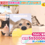 うちのこ写真集テレビ取材