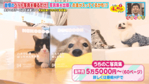 うちのこ写真集テレビ取材