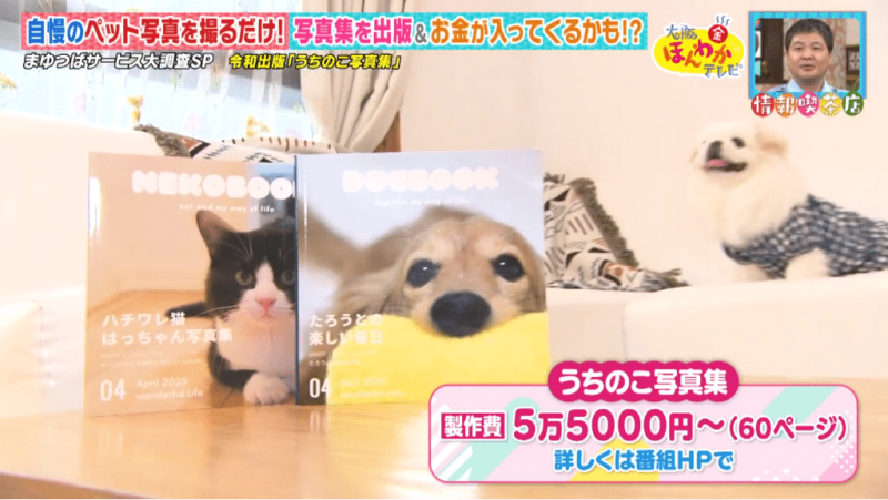 うちのこ写真集テレビ取材