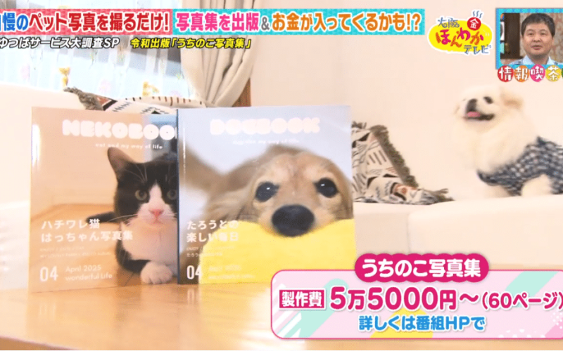 うちのこ写真集テレビ取材